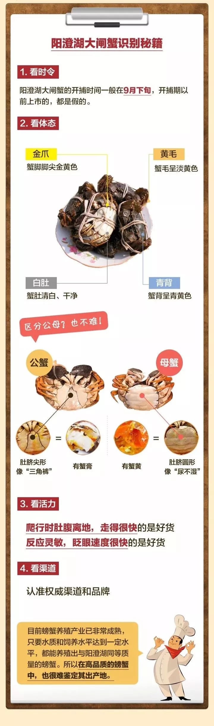 阳澄湖大闸蟹怎样辨真伪,阳澄湖大闸蟹官网辨别真假方法