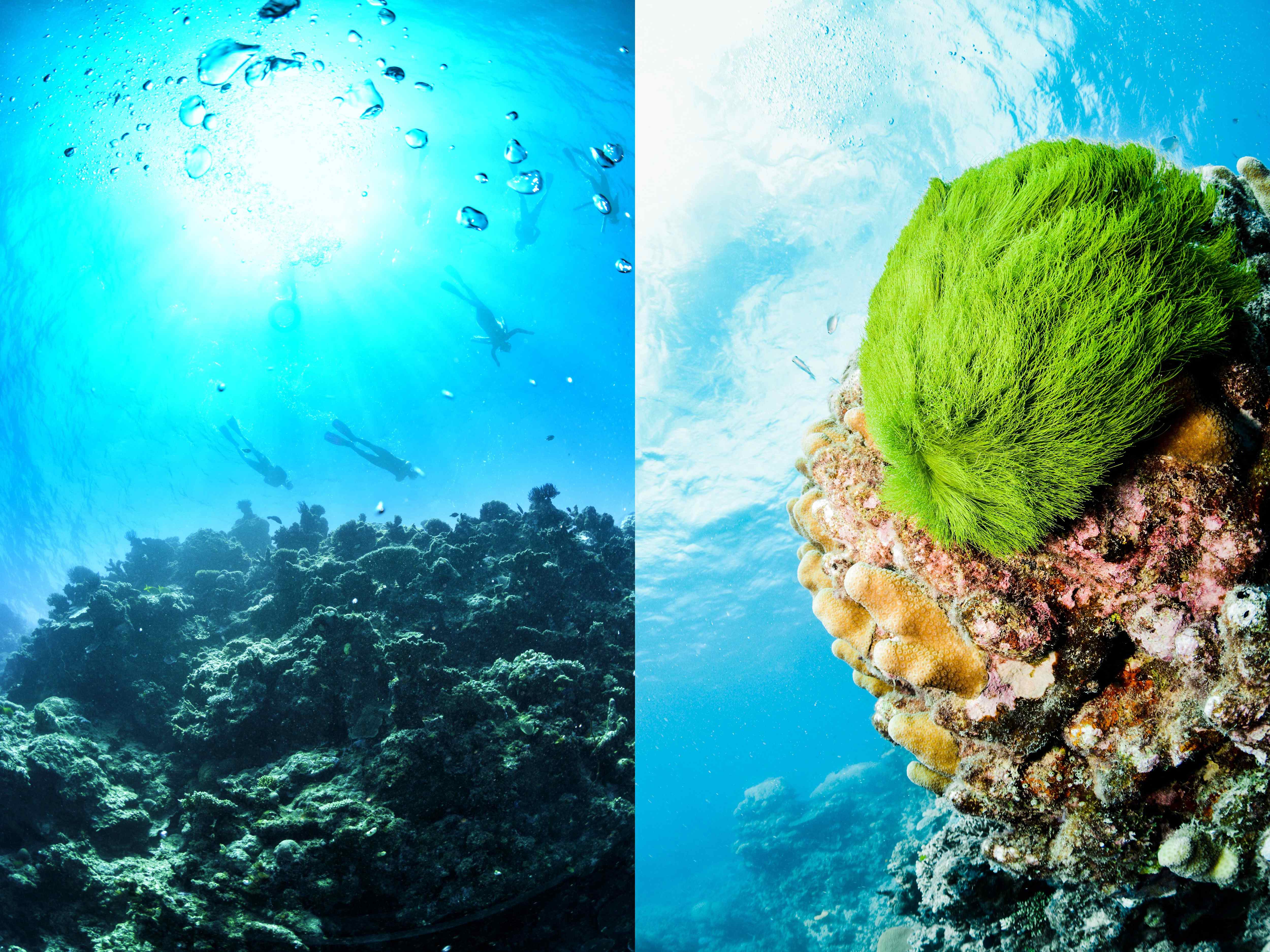 大堡礁的神奇之处,大堡礁位置图