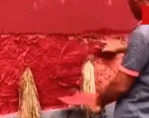 往墙里“塞草”：几百年不倒？故宫修墙的工艺为何这么神奇？