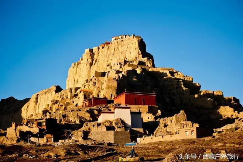 为什么阿里叫阿里地区,为什么阿里被称为拳王