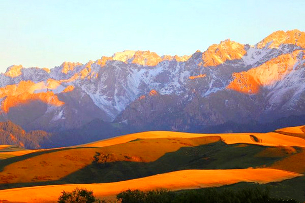 江布拉克的美景描述,风吹麦浪风景视频