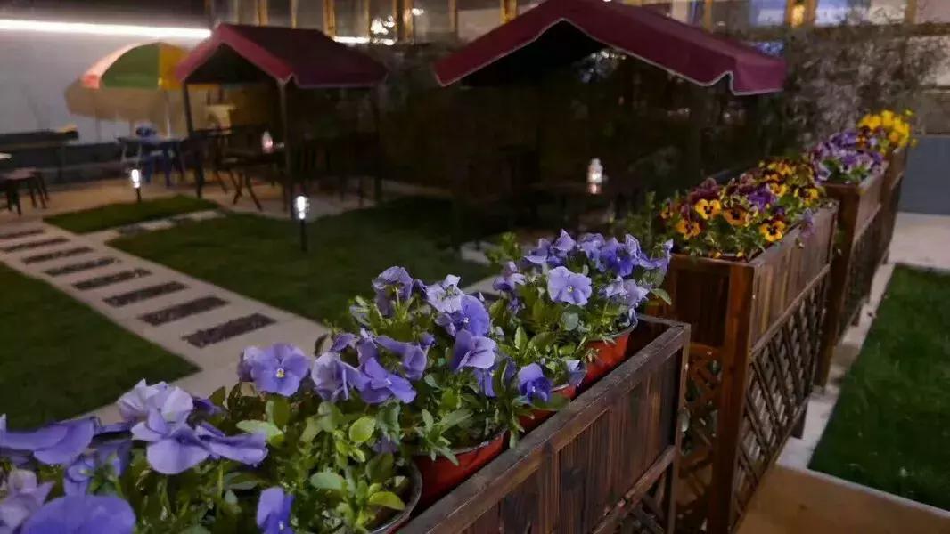 北京一棵树精品民宿,北京150家精品民宿大合集建议收藏