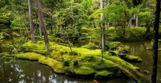 小小设计师绘本故事,小小建筑师绘本故事图片