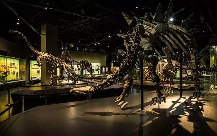 天津中华剧院演出信息,坐地铁去看天津滨湖剧院