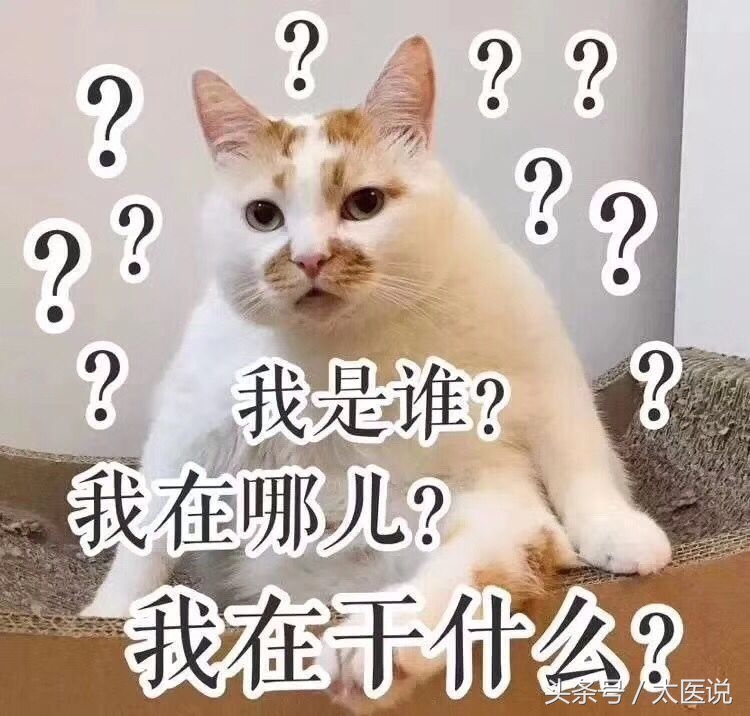 更年期如何锻炼大脑,如果大脑不衰老脑力会一直提升