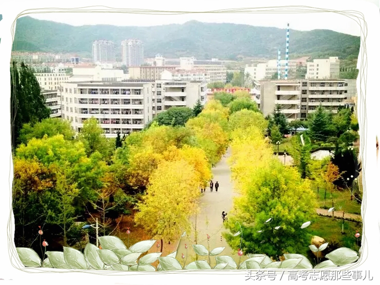 鲁东大学最好的专业是什么,鲁东大学计算机专业全国排名