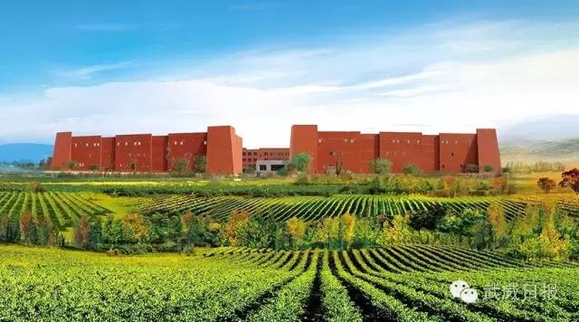 曾获1913年诺贝尔文学奖的获得者,获诺贝尔奖的红酒