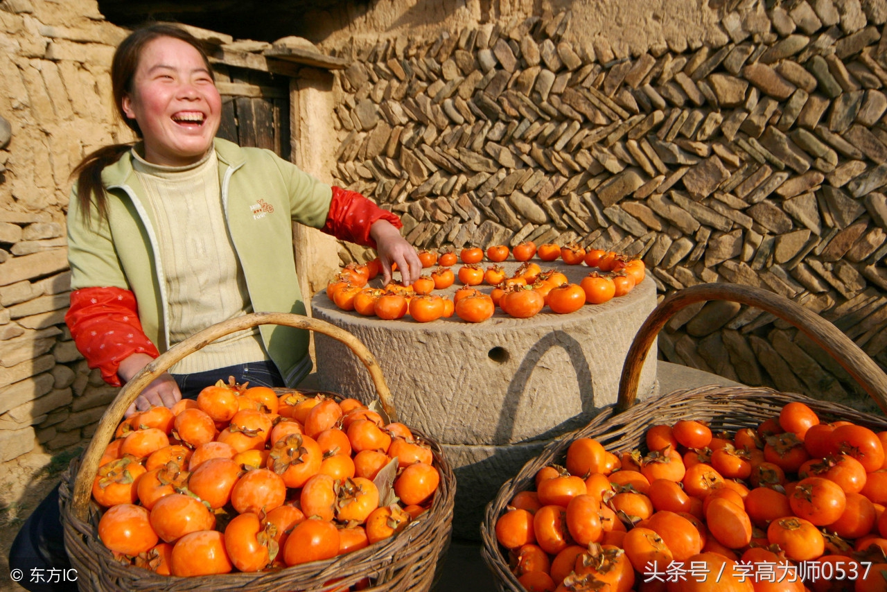三年级上册语文119页词语表带拼音,部编版三年级上册单元词语汇总