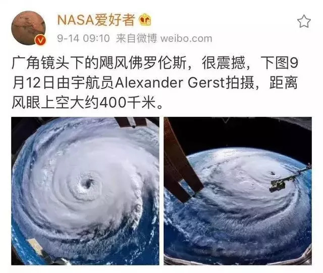 关于山竹的9个真相,山竹的危害到底有多大