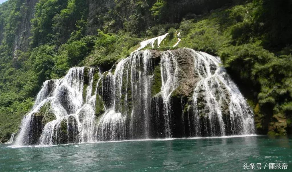 张家界莓茶哪个品牌是老字号,喝张家界莓茶对肺有好处吗