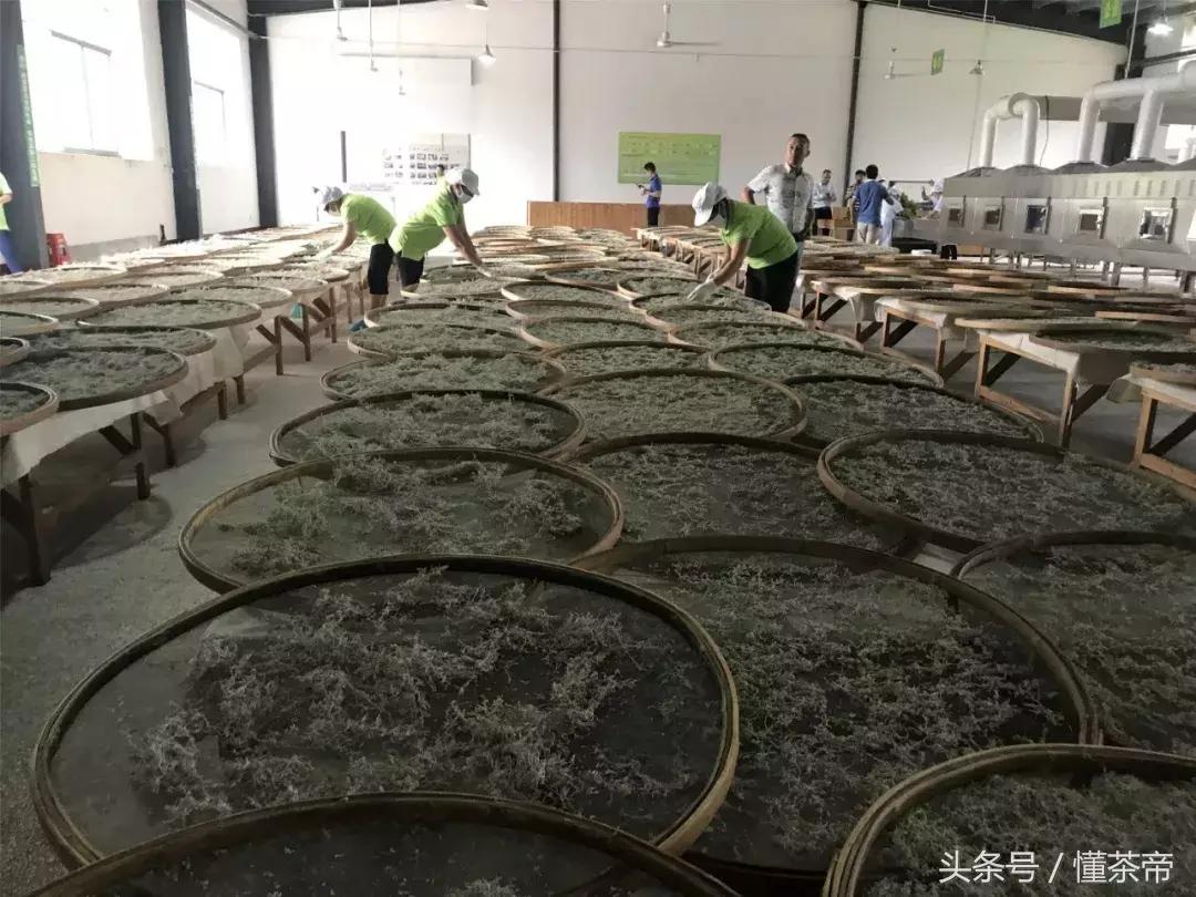 张家界莓茶哪个品牌是老字号,喝张家界莓茶对肺有好处吗