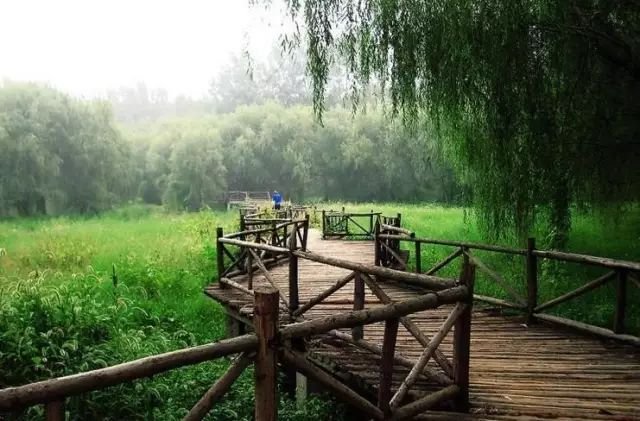 河南露营自驾游推荐,春节河南自驾露营最佳地方