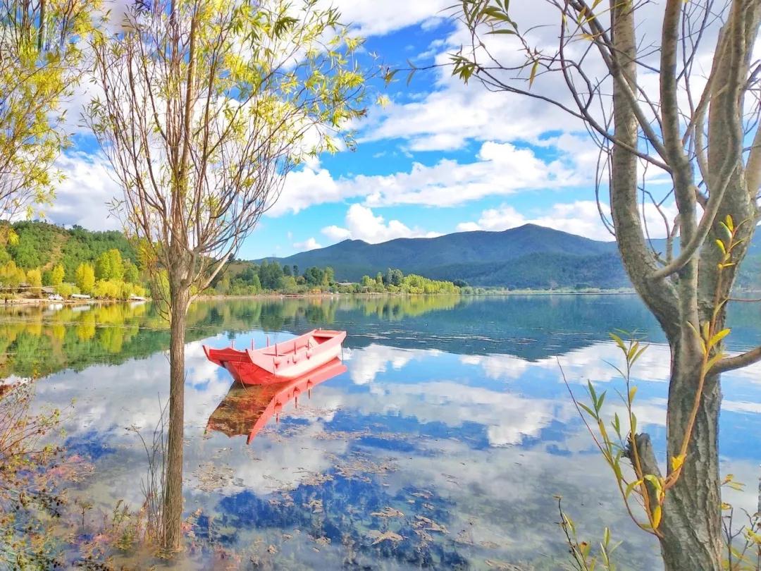 睡一觉涨1000粉丝,睡一觉就可以获得1万块钱