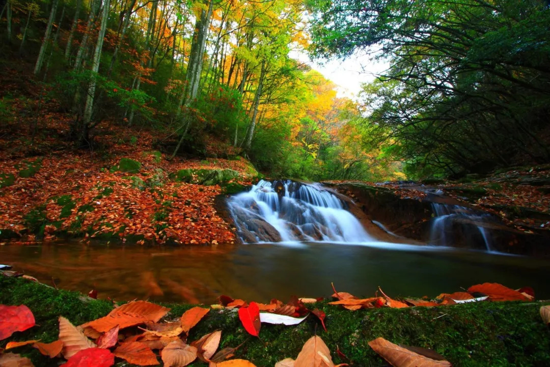 光雾山诺水河旅游,光雾山诺水河世界地质公园攻略