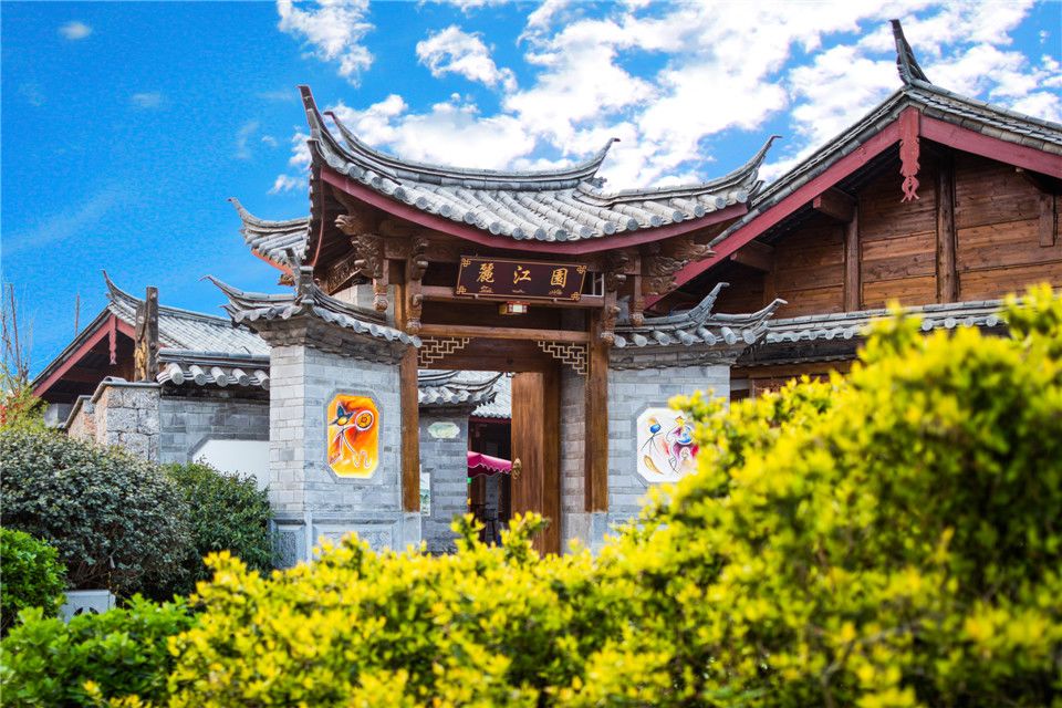 3月终于要放晴啦！出门赏花看剧，这里有攻略