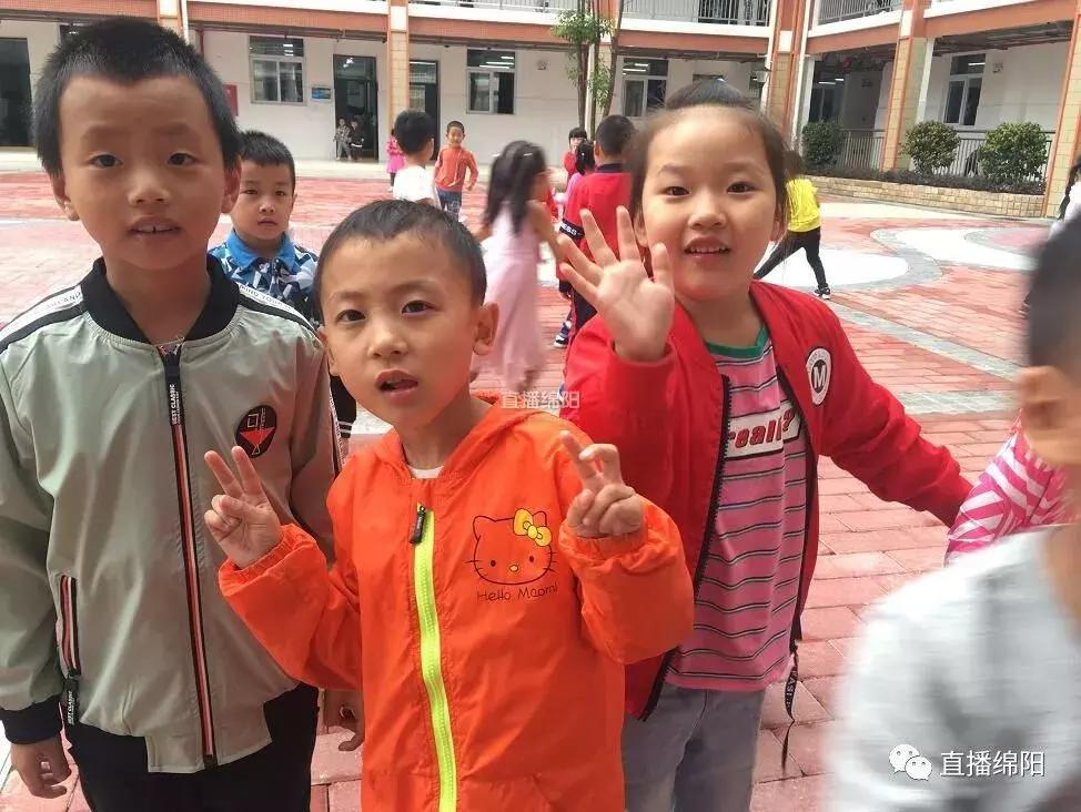 绵阳园艺山的小学哪家好,园艺山住宅区