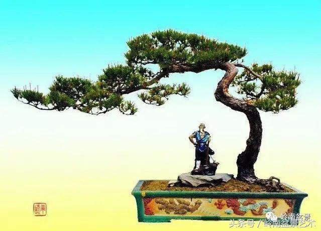 云中松——仰观天宇，俯察尘寰