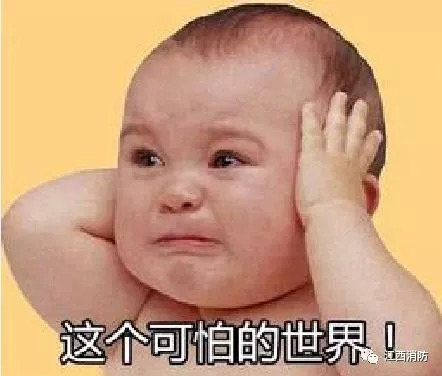 家里进入眼镜蛇怎么办,家里进小红蛇怎么办