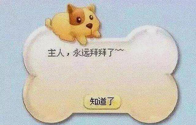 qq宠物下架多长时间了,qq宠物为什么下线了