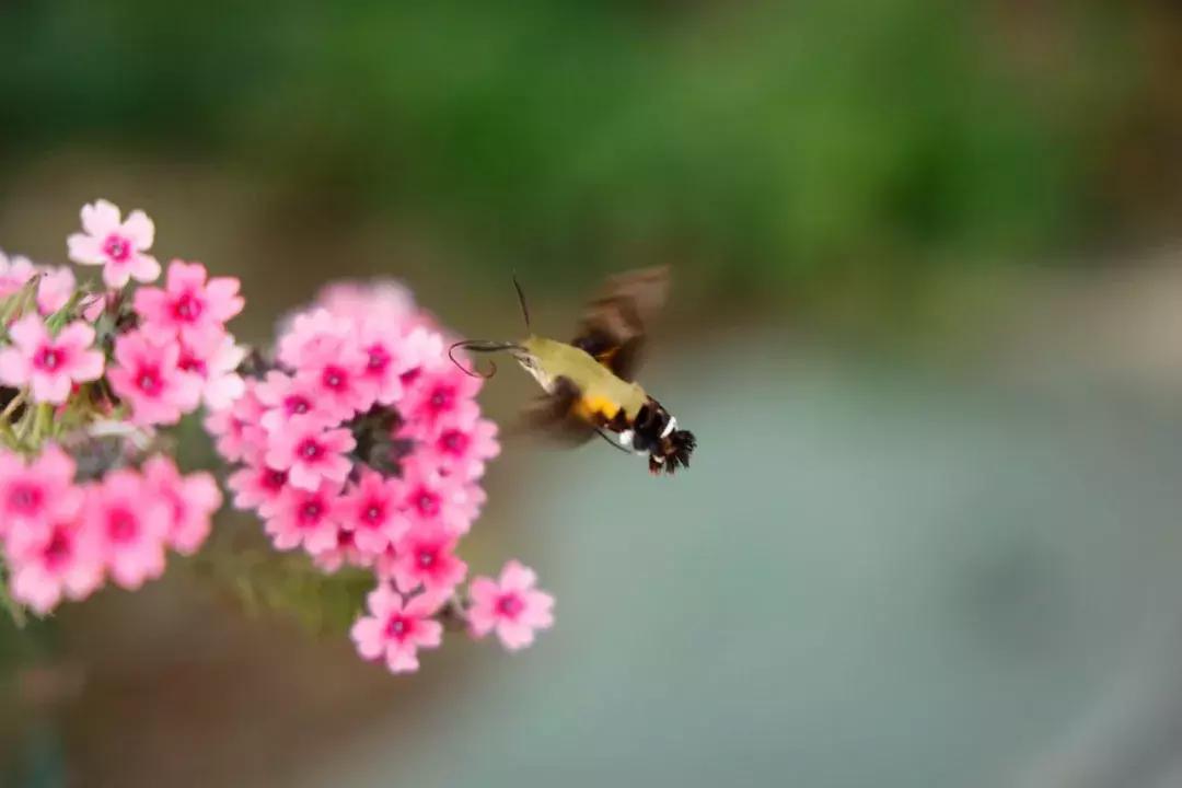 转接环如同原生操控性基因强大佳能EOSR初步评测