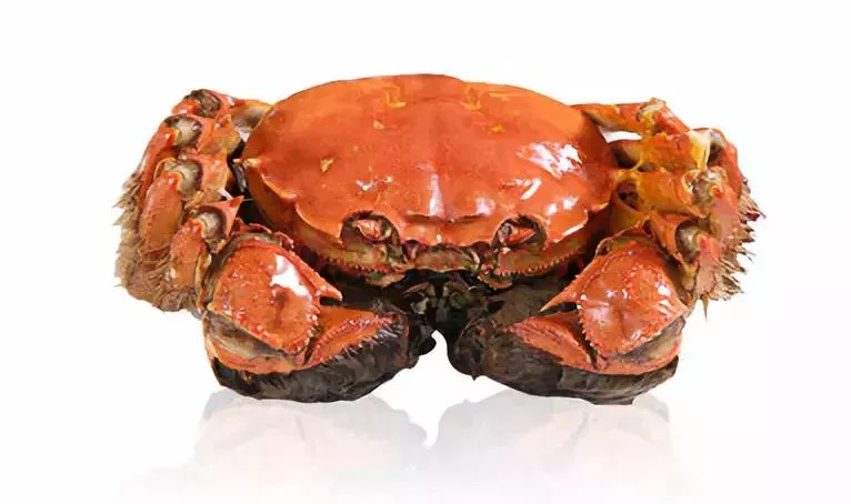 「团购」中秋送礼必备！价格低质量好的阳澄湖大闸蟹要去哪里买呢？这只来自阳澄湖的鲜活大闸蟹肥美爆膏正当时，错过等一年！