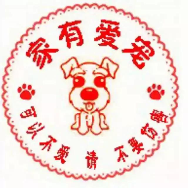 吐槽大会狗狗事件,吐槽大会泰迪犬