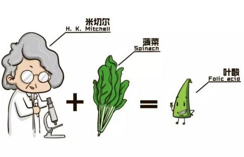 意外怀孕前两个月没吃叶酸怎么办,意外怀孕没有吃叶酸怎么补救