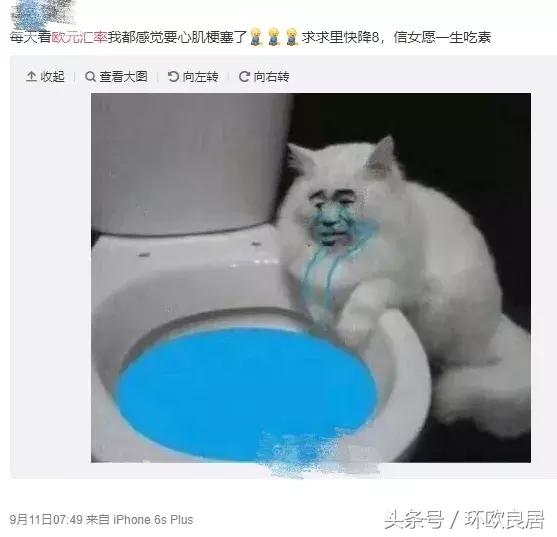 欧元兑人民币汇率跌破7.60关口,欧元汇率持续下跌外国人反应