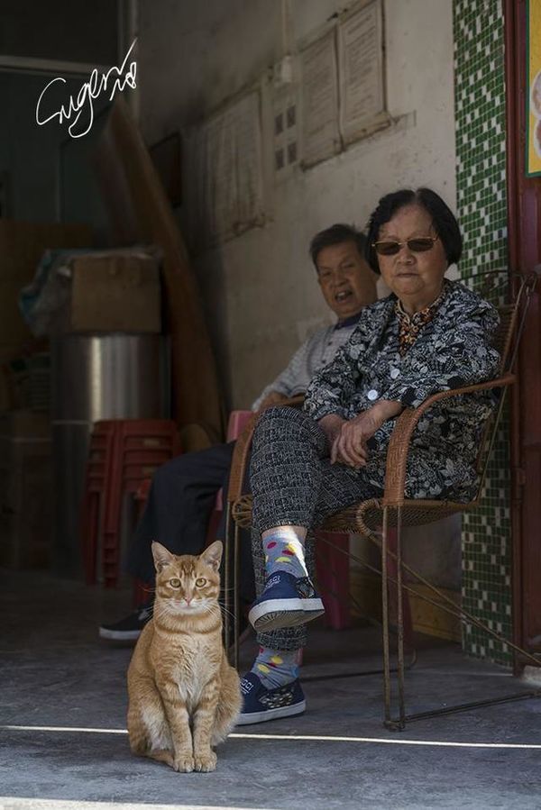 梅州客家风情故事,梅州客家人游记