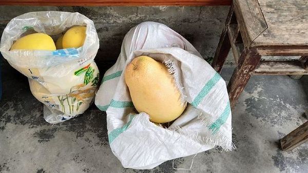 梅州客家风情故事,梅州客家人游记