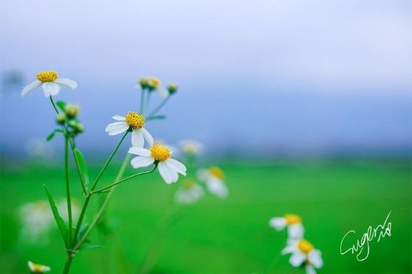 梅州客家风情故事,梅州客家人游记