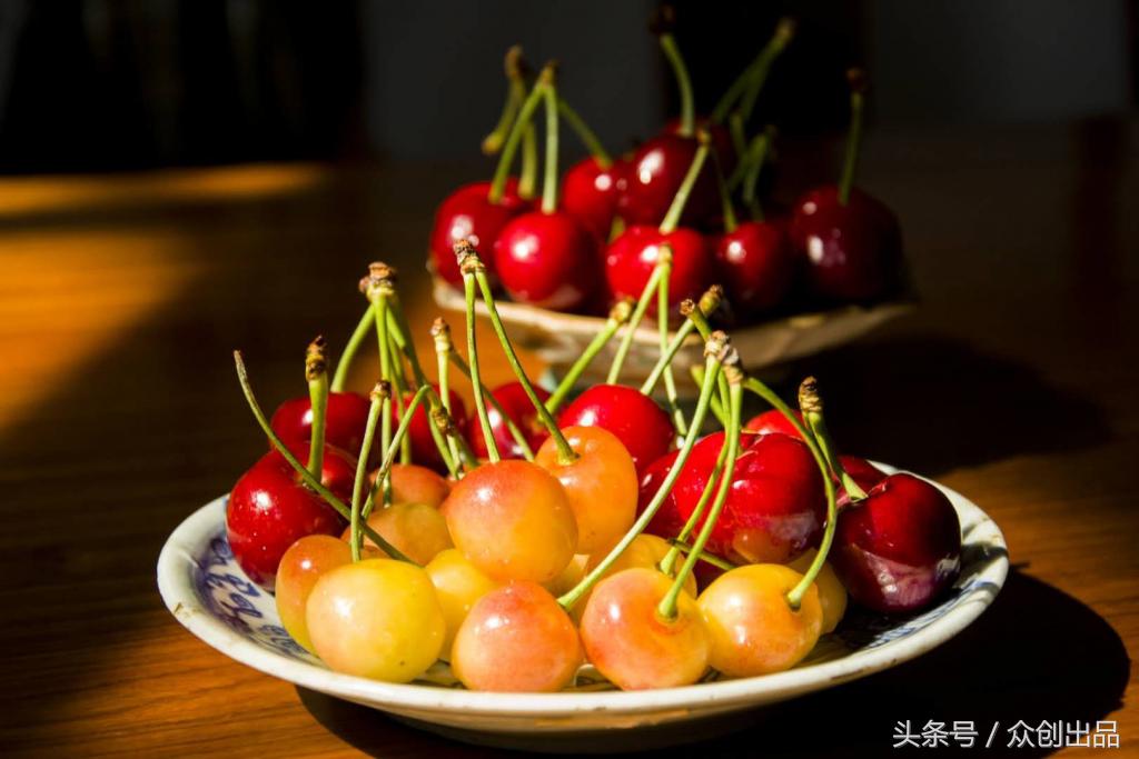 樱桃蔷薇,樱桃木槿