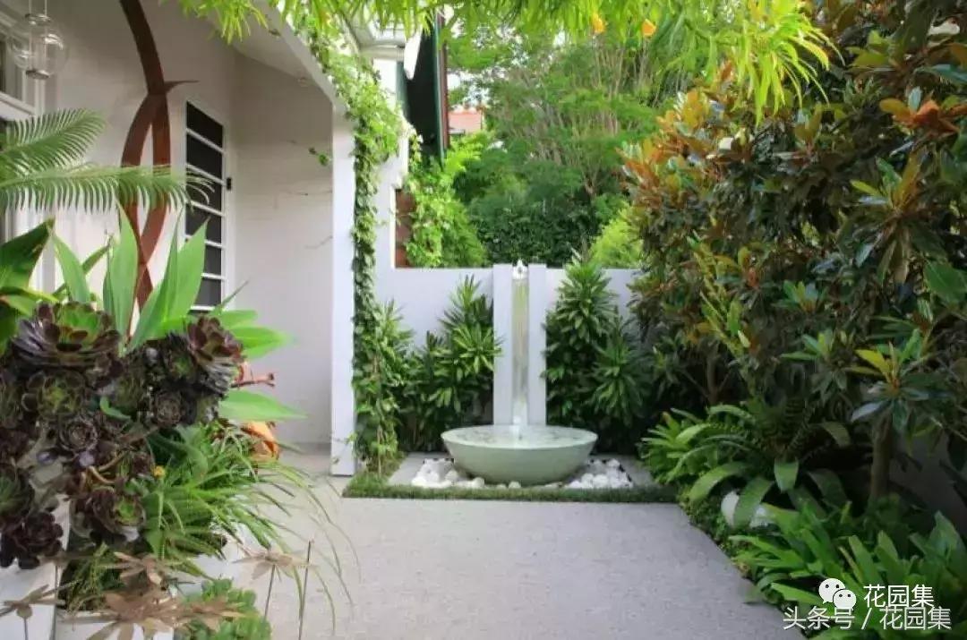 庭院栽什么树风水好,庭院最好的风水布局