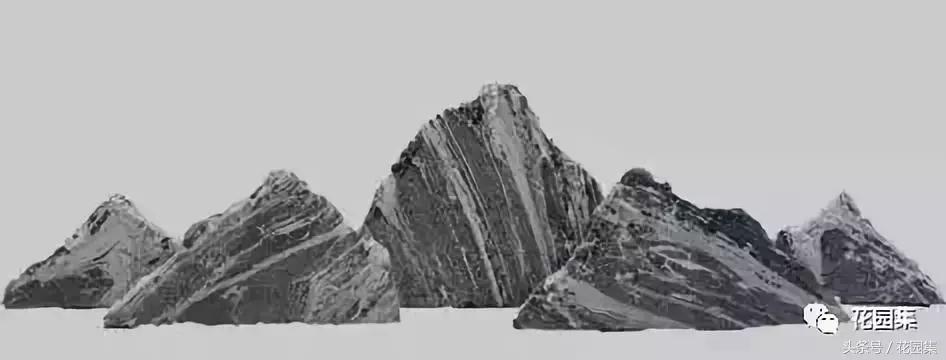 庭院栽什么树风水好,庭院最好的风水布局