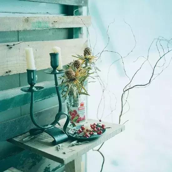 黄昱宁:你或植物|新关注