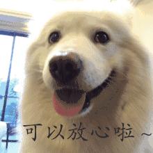 鍗冧竾涓嶈涔扮殑鐪奸湝,鍗冧竾鍒叆鍧戠殑鐪奸湝