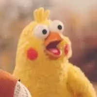 国家对代购经营的新政策,国家要开始对电商收税了吗