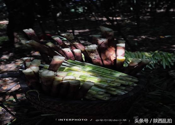 畅游佛山名胜,金佛山景区自由行