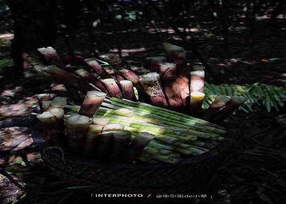 畅游佛山名胜,金佛山景区自由行