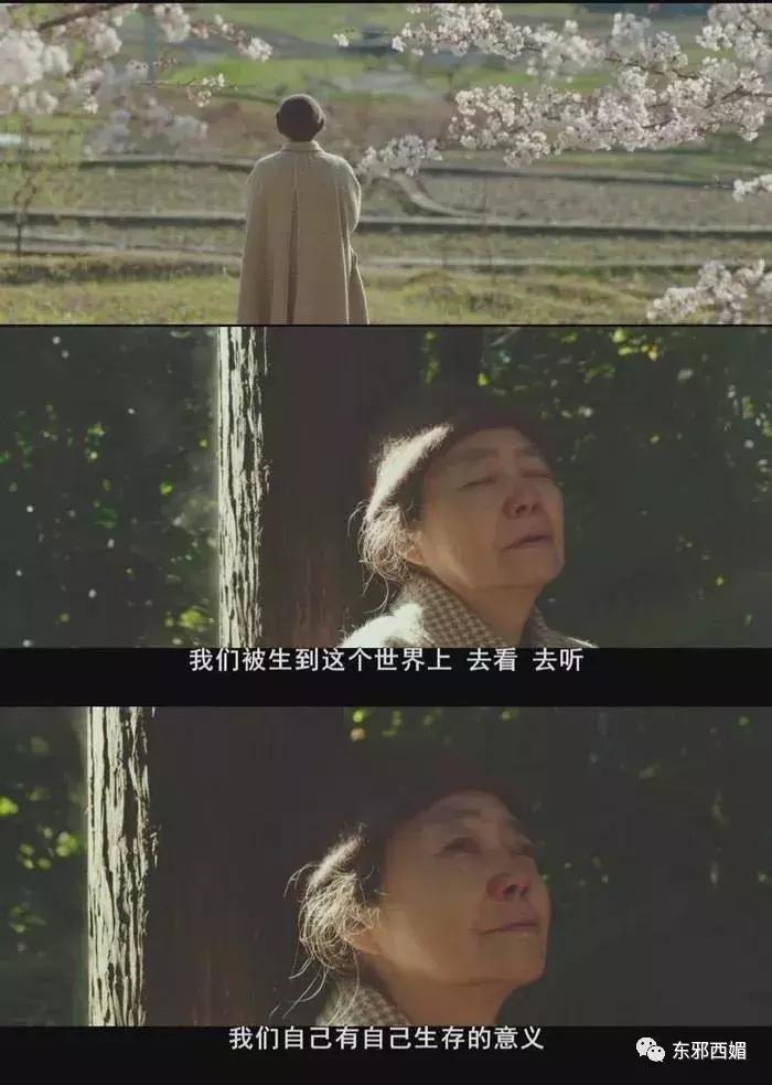 逼死原配小三的渣男,逼死老婆的渣男