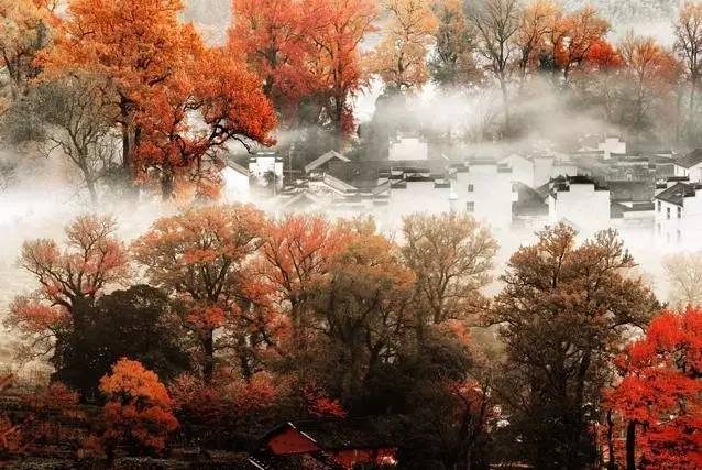 婺源10月,10-11月的婺源