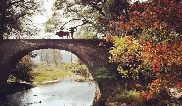 婺源10月,10-11月的婺源