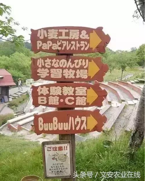 为什么日本农产品没有竞争力,为什么日本农产品可以走高端路