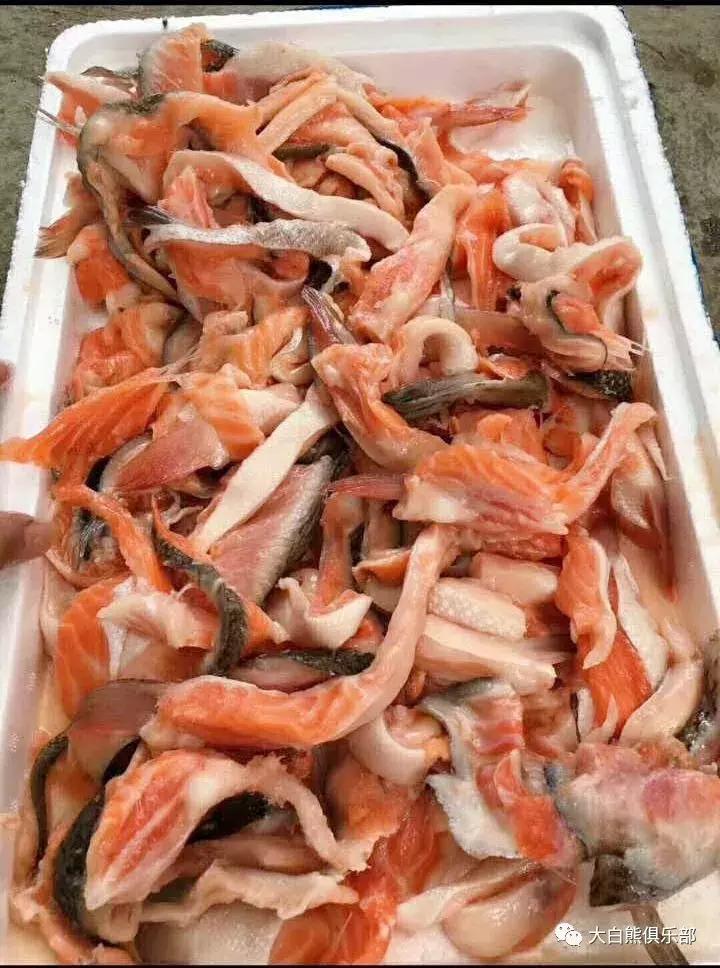 现在买的狗粮都有毒吗,人吃狗粮靠谱吗