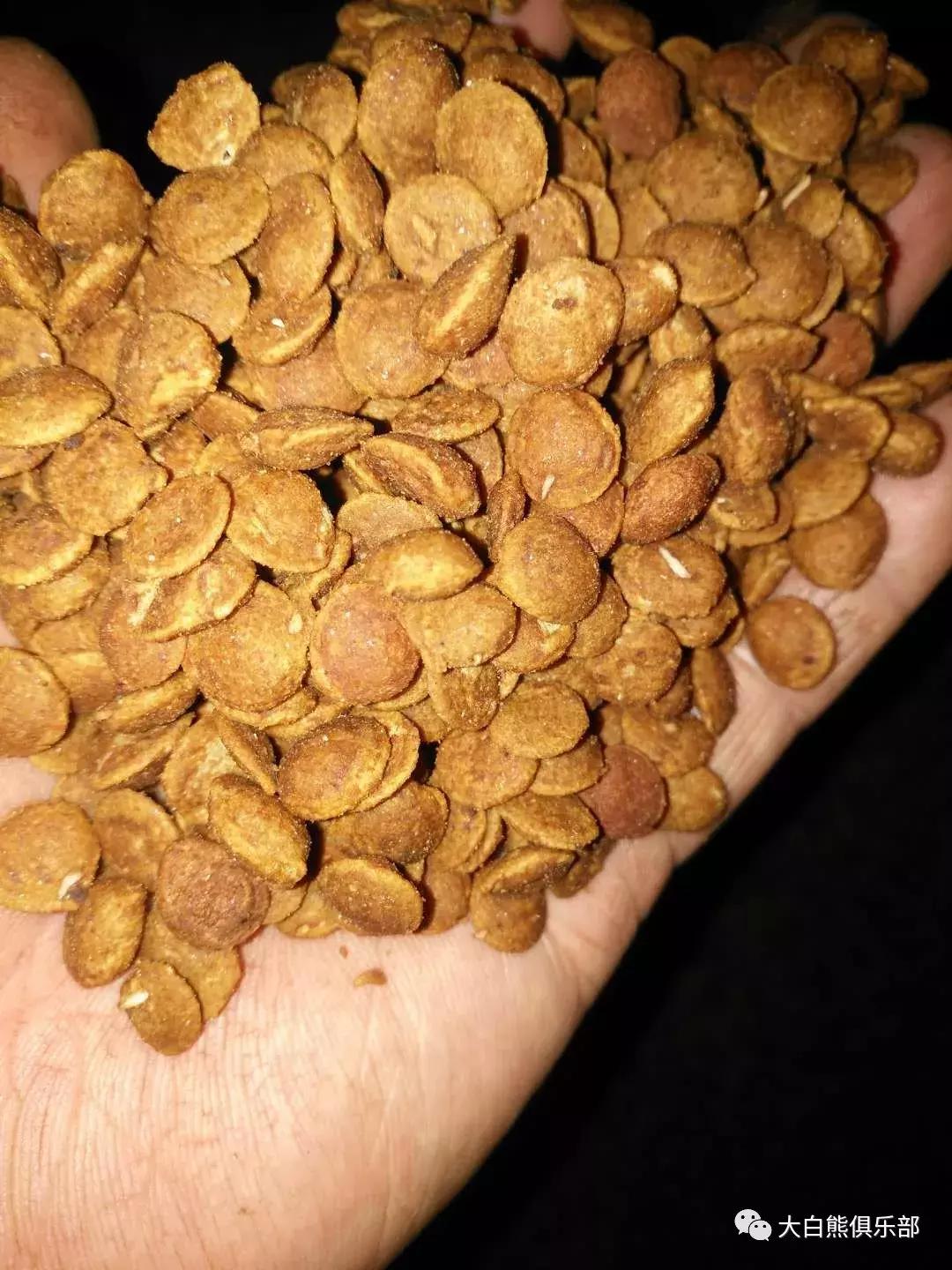 现在买的狗粮都有毒吗,人吃狗粮靠谱吗