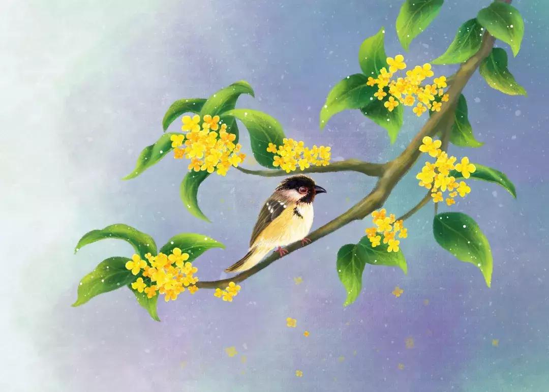 金秋桂花满枝的诗词,桂花诗词大全100首