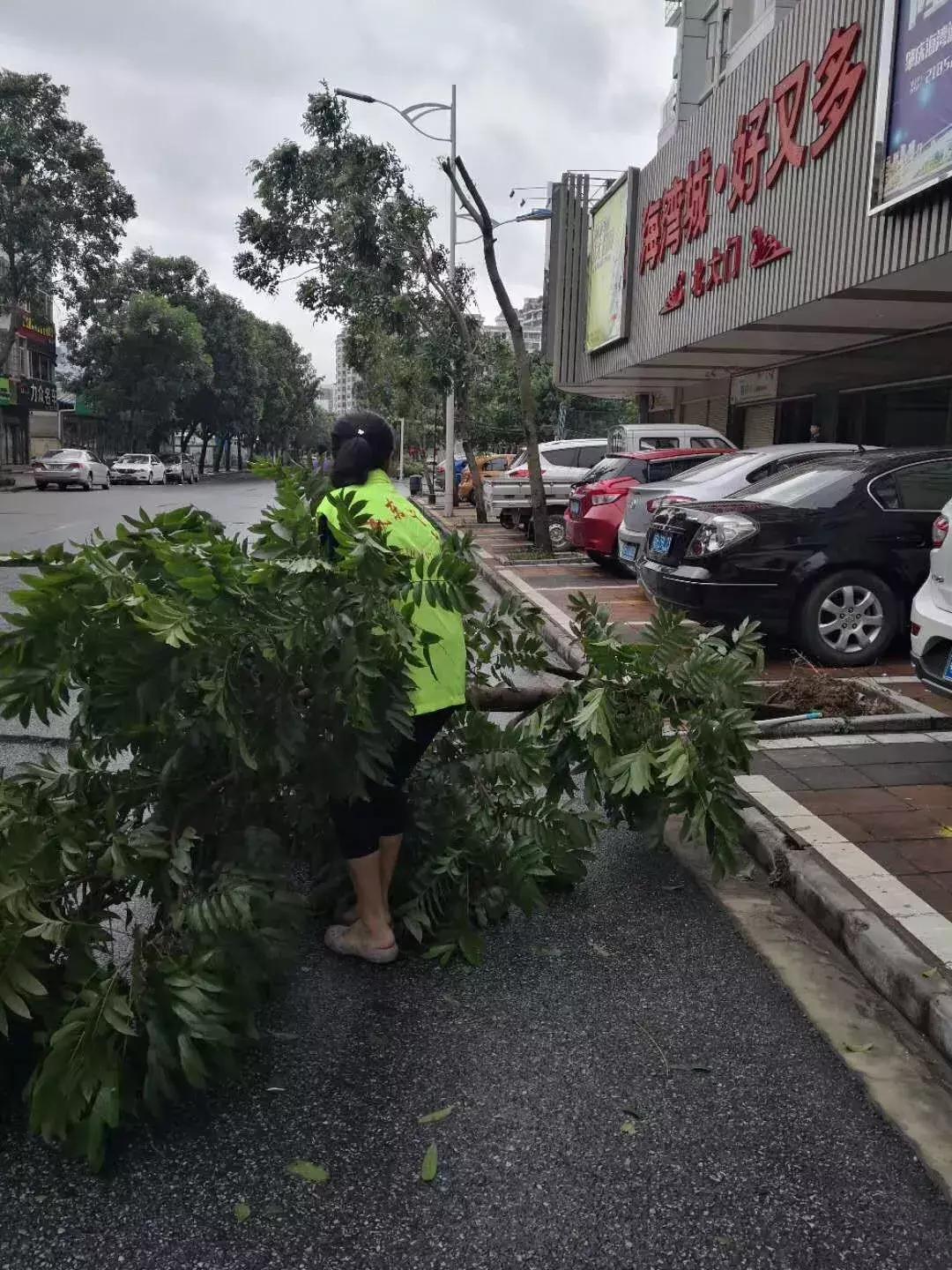 请给他们多一点时间！端州全城风后大修缮