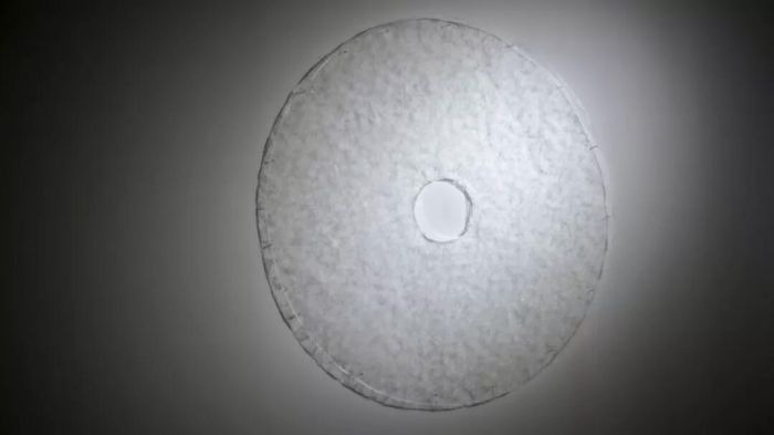 一个茧只有一根丝吗,一个茧是由一根丝组成的吗