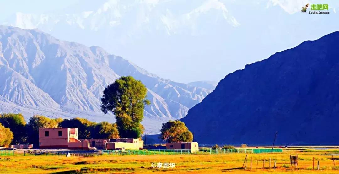 跟着大咖体验南疆最经典路线，玄奘东归路、沙漠胡杨、民俗风情！