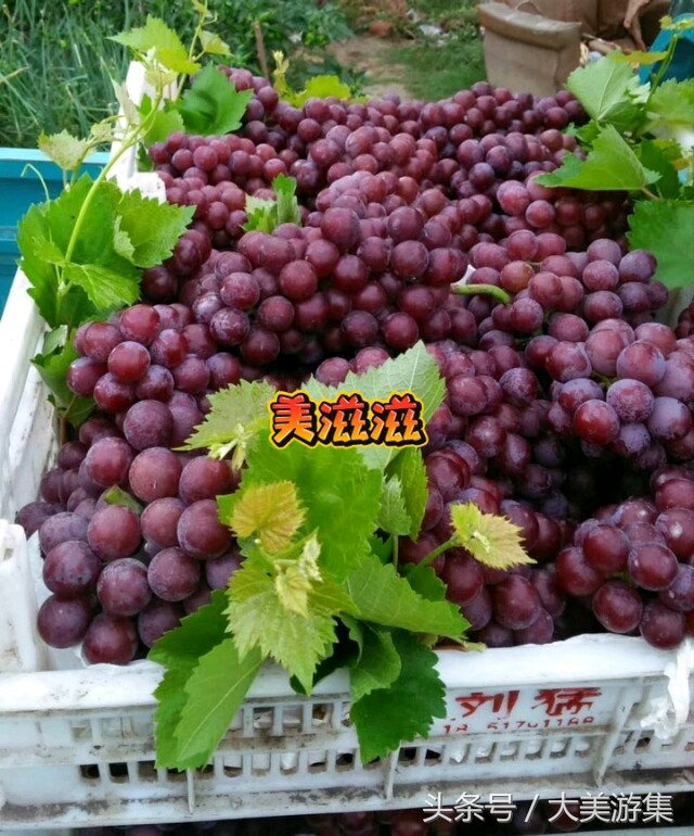 舌尖上的美食之面食,宿州十大特产小吃